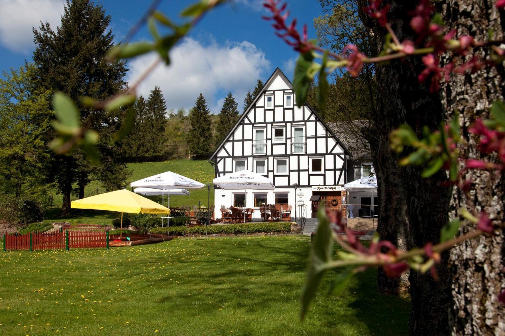 Forellenhof Wald- Und Wiesenquartier Bad Berleburg Exteriör bild